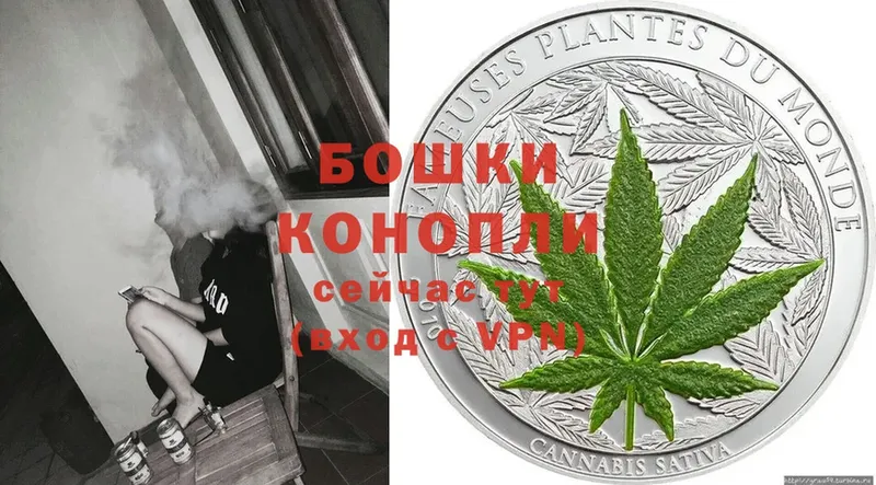 Бошки марихуана SATIVA & INDICA  kraken зеркало  Вязьма 